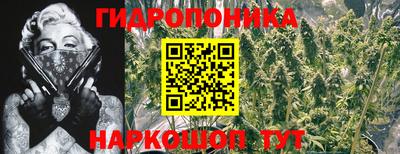 apvp Краснодар