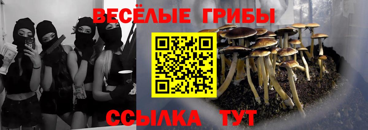 Псилоцибиновые грибы Psilocybine cubensis Ишимбай