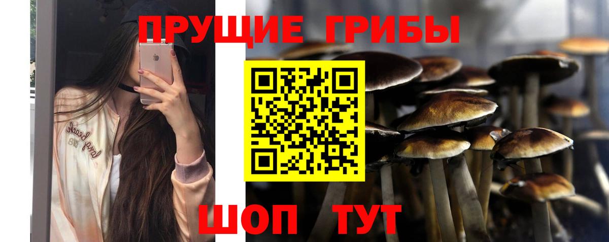 Псилоцибиновые грибы Cubensis  Вход с VPN  Ишимбай 
