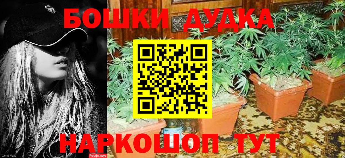 Каннабис Amnesia  Конопля семена  Конопля AK-47  Ишимбай  Вход с VPN 